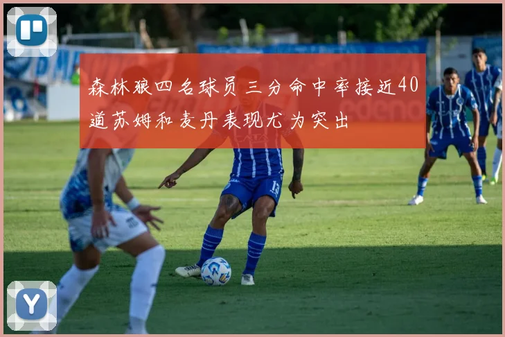 森林狼四名球员三分命中率接近40道苏姆和麦丹表现尤为突出