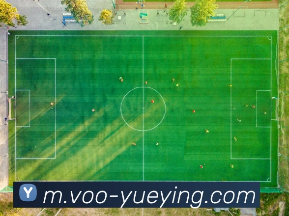 奖项图2
